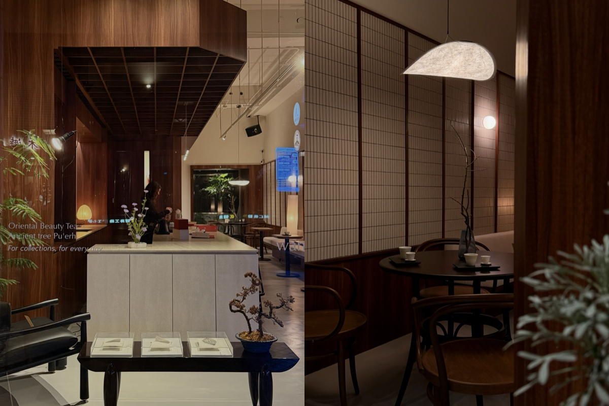 到台中「萬軒茶室」當代茶館，喝懂東方美人、古樹普洱的究極風味