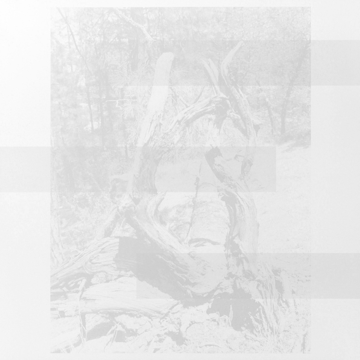 其作品《Maseraine》。（圖片提供：毓繡美術館）