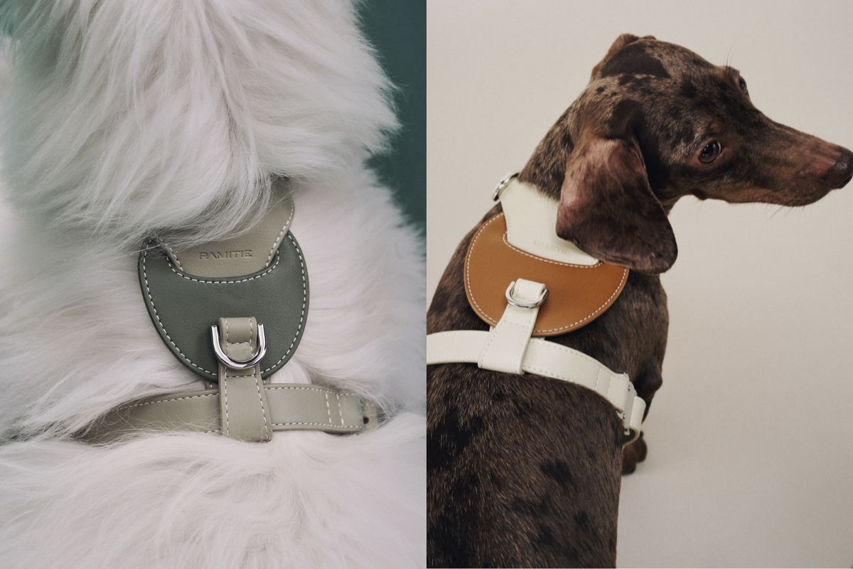 台灣品牌PAMITIE主打「人寵共享」設計！家具、戶外用品都要毛孩友善