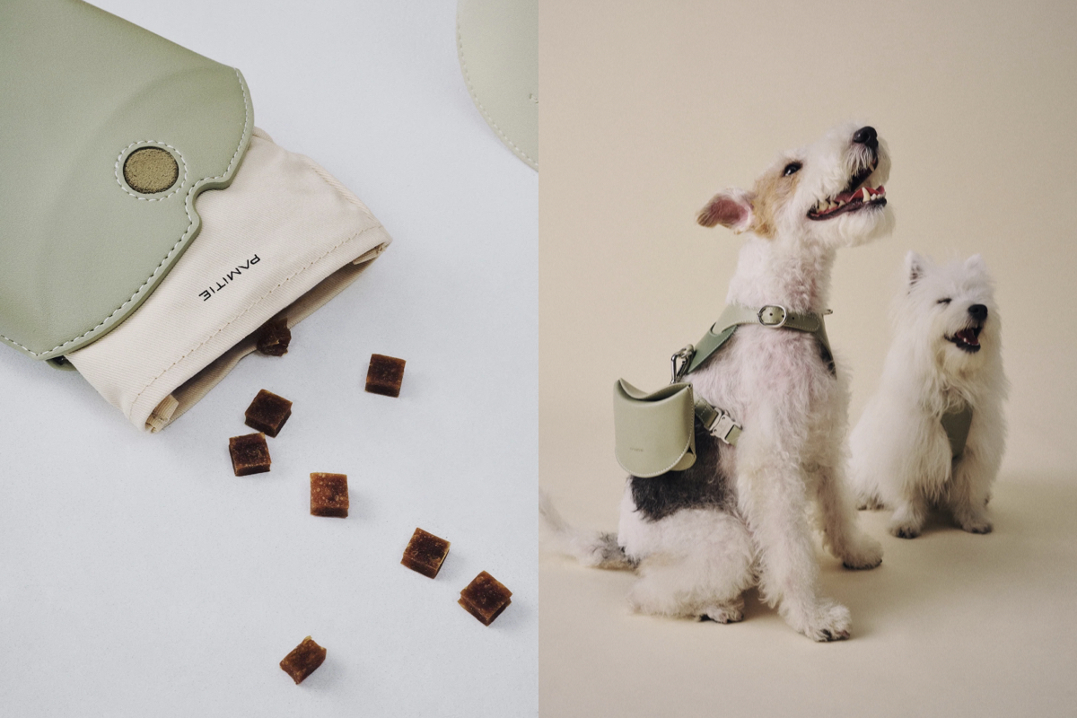 台灣品牌PAMITIE主打「人寵共享」設計！家具、戶外用品都要毛孩友善