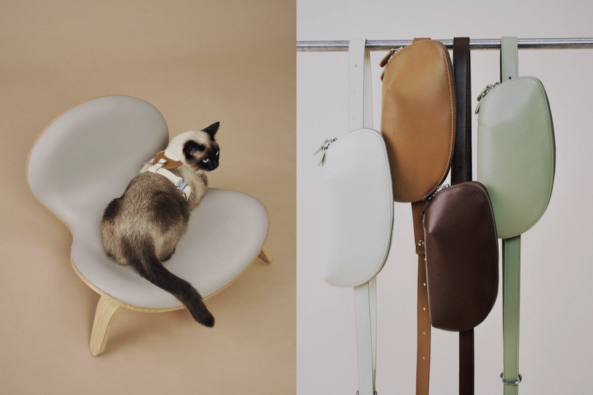 台灣品牌PAMITIE主打「人寵共享」設計！家具、戶外用品都要毛孩友善