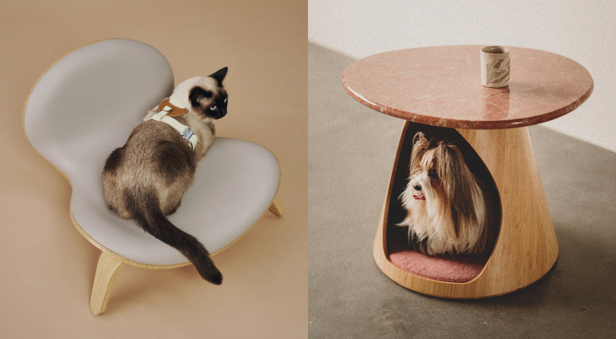 台灣品牌PAMITIE主打「人寵共享」設計！家具、戶外用品都要毛孩友善