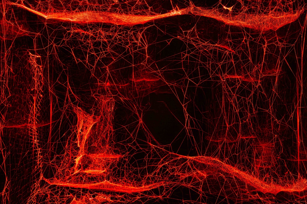 托馬斯．薩拉切諾，〈如何將宇宙陷入蛛網〉，2025。（圖片提供：新北市美術館，攝影：林軒朗） Tomás Saraceno, How to Entangle the Universe in a Spider_web_, 2025  (Courtesy of New Taipei City Art Museum, Photo_ Hsuan Lang Ling)