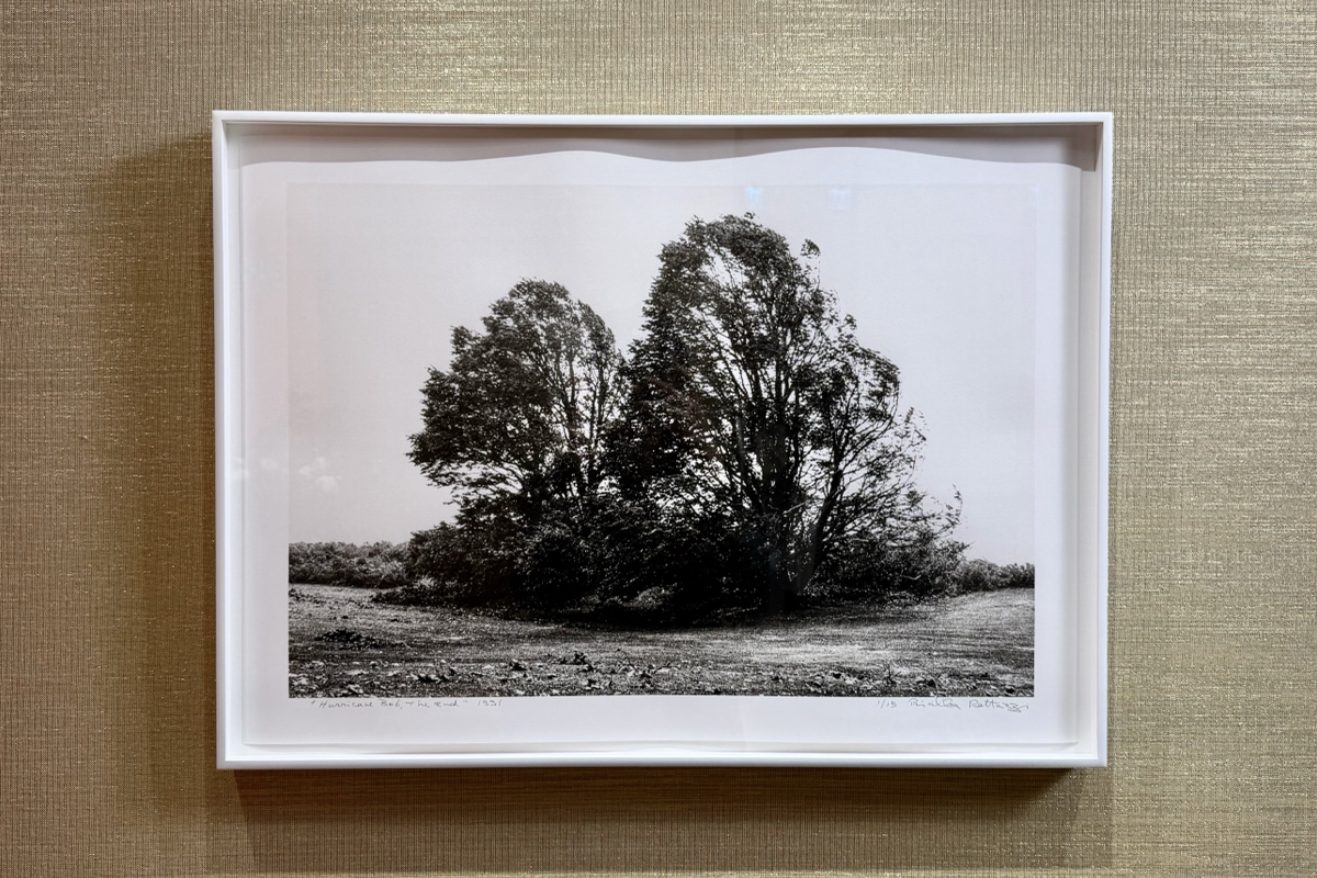 香奈兒BR4復興SOGO店改裝新開幕！透明電梯、斜紋軟呢門片等7大設計亮點