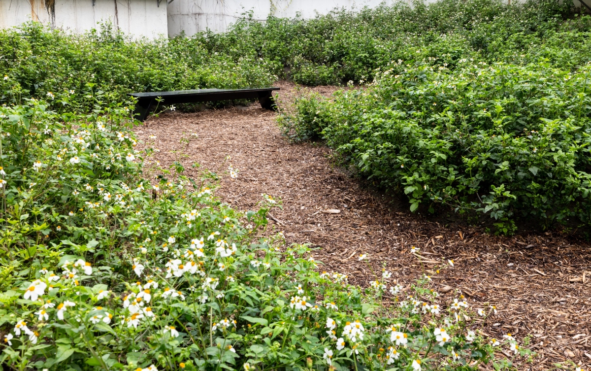 《2025台北雙年展：地平線上的低吟》，麗娜．拉蓓利代，《斜坡研究》（又名《沉默者》）閉幕演出於3月28至29日在南進門旁花園舉行。（攝影：呂國瑋、圖片提供：臺北市立美術館）