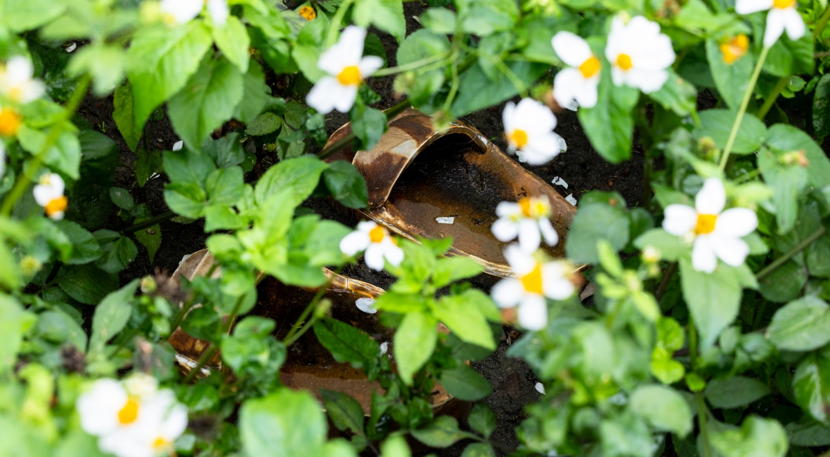 台北雙年展閉幕表演《斜坡研究》！威尼斯金獅獎藝術家Lina Lapelytė登台，聯手素人表演者共組「音準自由合唱團」