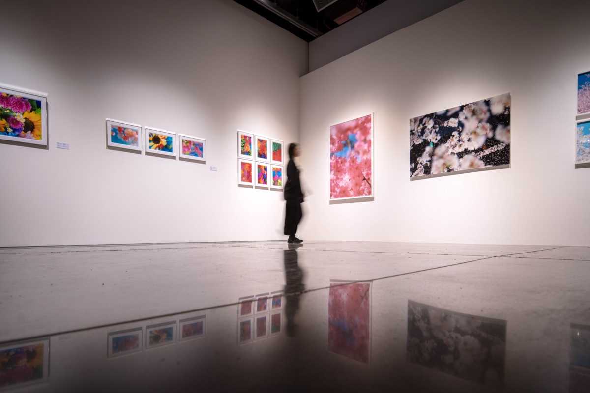 屏美館開幕首展《當繁華盛開》展場一隅（圖片提供：蔚龍藝術）