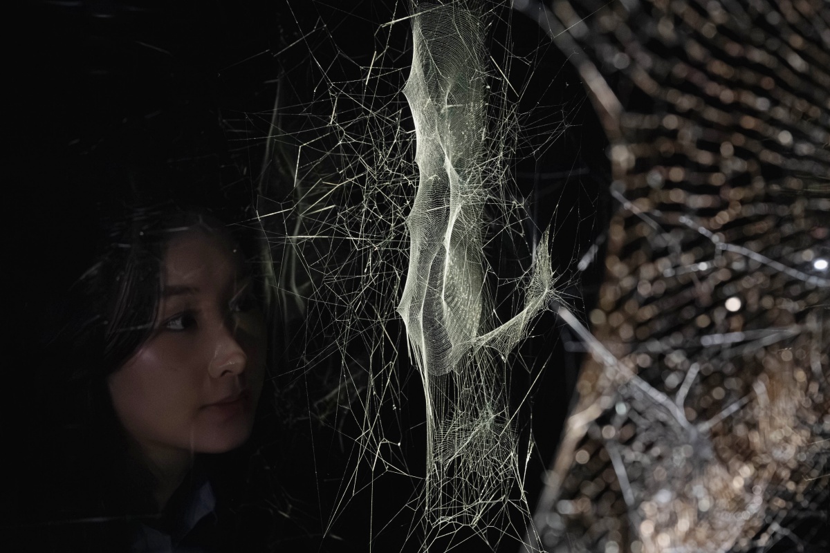 〈關注之網〉，2025。（攝影：林軒朗 ；圖片提供：新北市美術館）