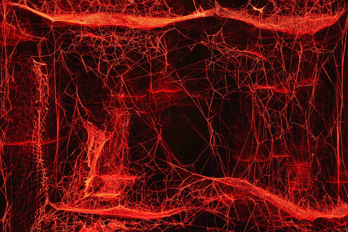 〈如何將宇宙陷入蛛網〉，2025。（攝影：林軒朗 ；圖片提供：新北市美術館）