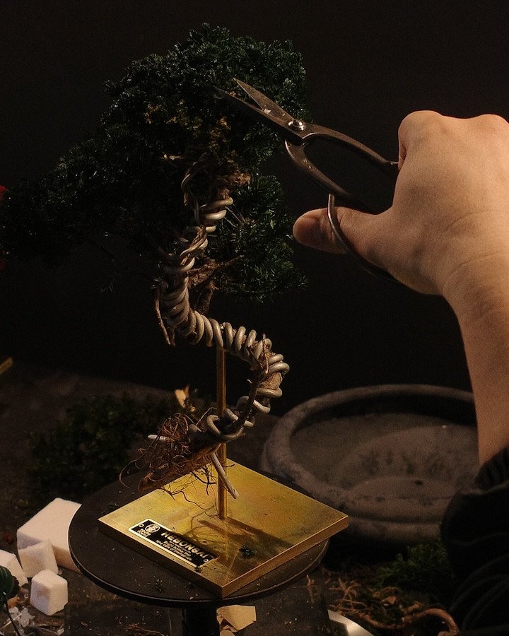 大稻埕「裏 Ura.219」啟動藝廊計畫！首展帶來東京TOUFU TOKYO再生盆栽