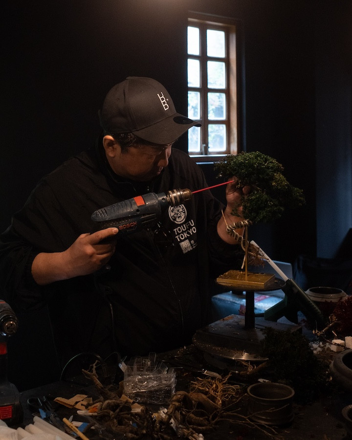 大稻埕「裏 Ura.219」啟動藝廊計畫！首展帶來東京TOUFU TOKYO再生盆栽