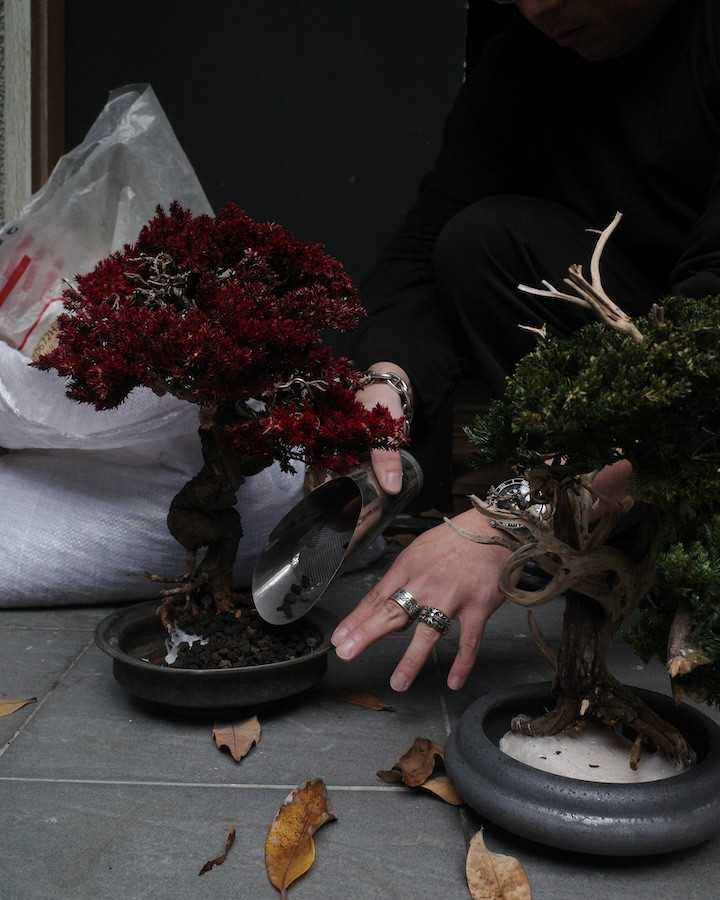 大稻埕「裏 Ura.219」啟動藝廊計畫！首展帶來東京TOUFU TOKYO再生盆栽