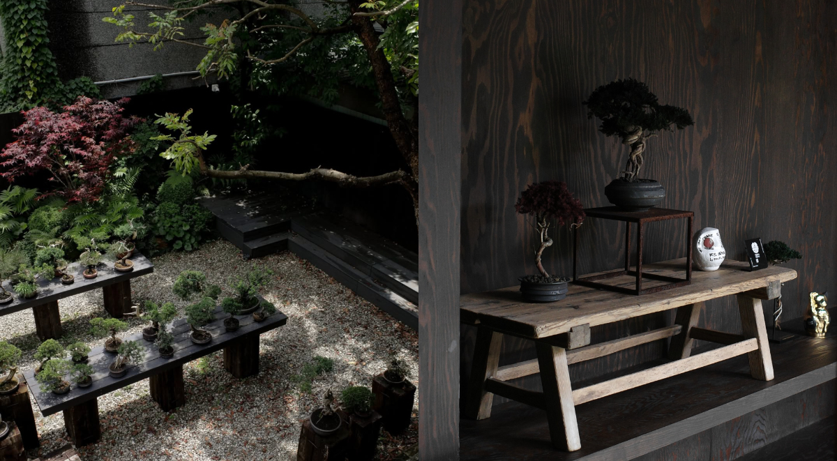 大稻埕「裏 Ura.219」啟動藝廊計畫！首展帶來東京TOUFU TOKYO再生盆栽