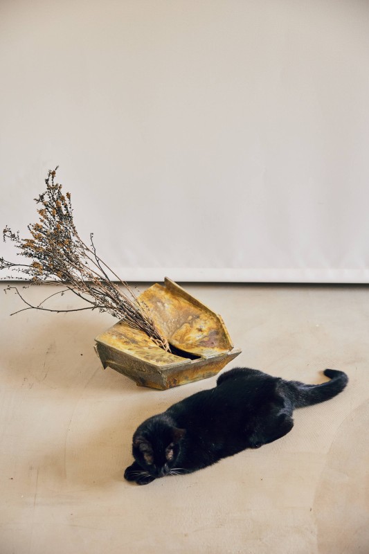 （攝影：林科呈）