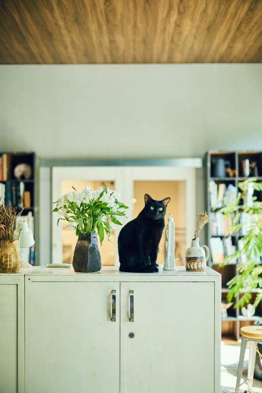 （攝影：林科呈）