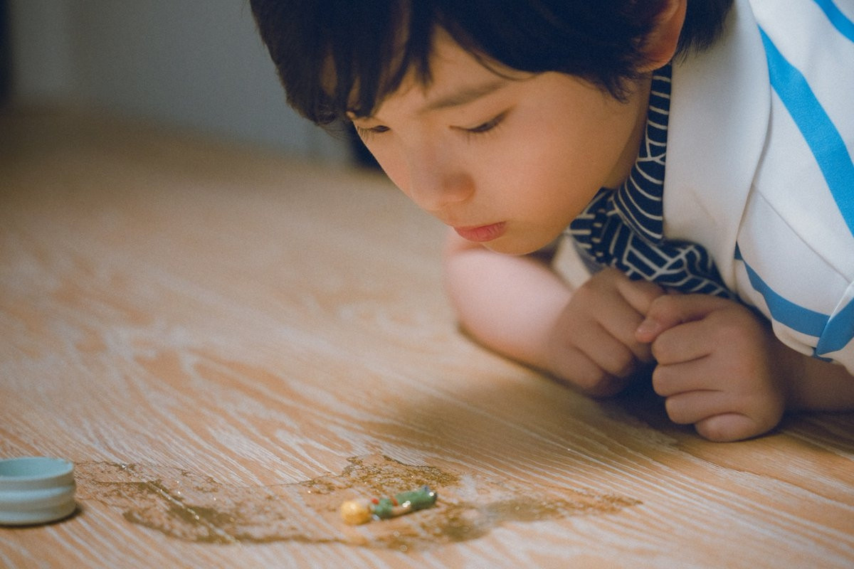 （圖片來源：《箱の中の羊》官方X @Hakohitsujifilm）