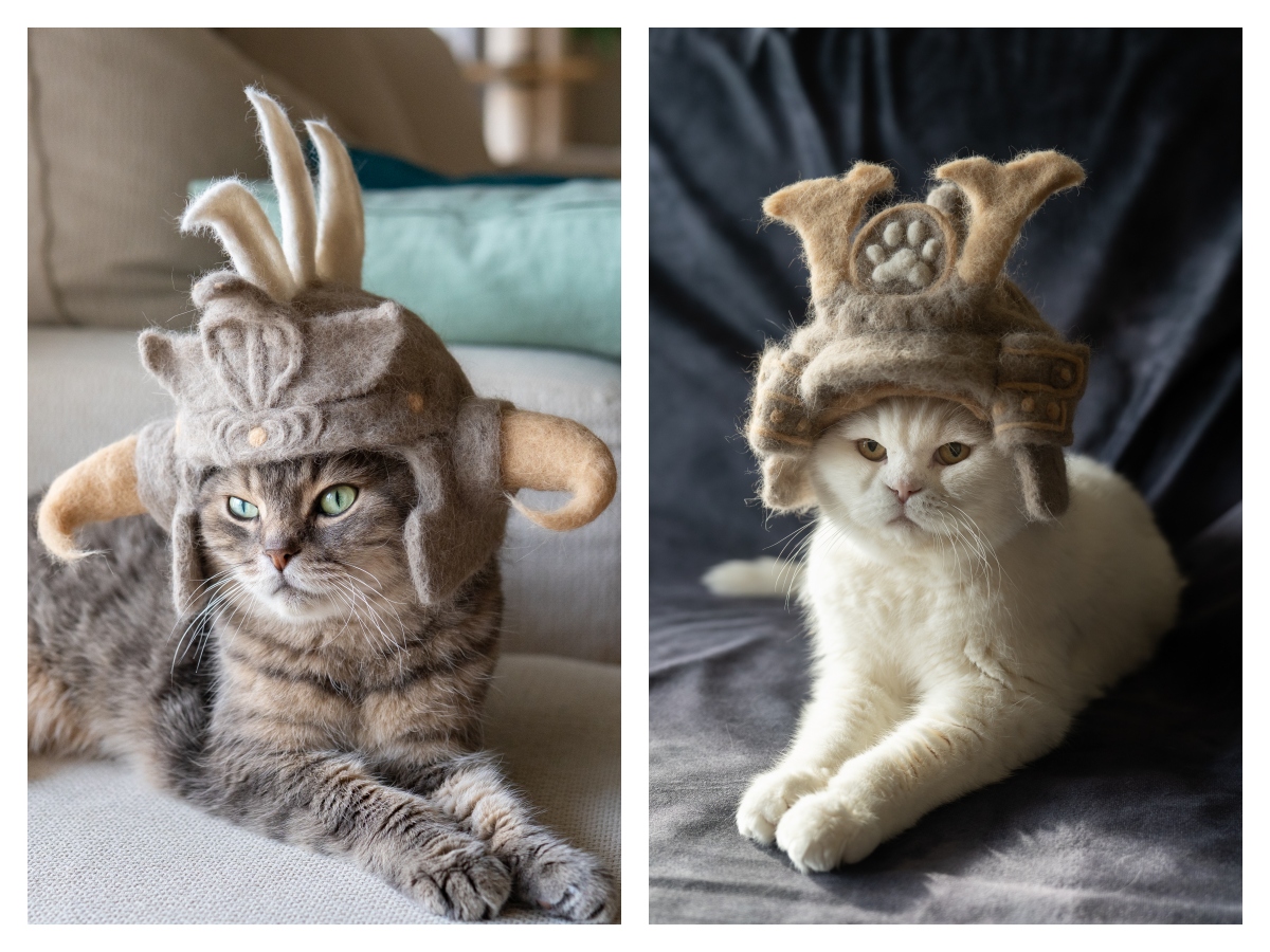 左：武士頭盔、右：將軍頭盔。（圖片提供：rojiman & umatan）