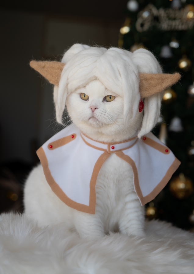 《葬送的芙莉蓮》主角芙莉蓮。（圖片提供：rojiman & umatan）