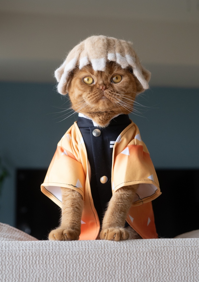 《鬼滅之刃》角色我妻善逸。（圖片提供：rojiman & umatan）