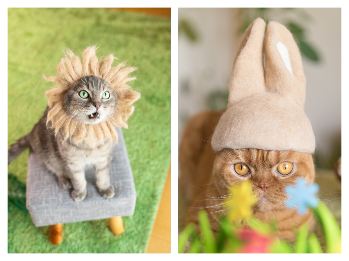 左：獅子、右：兔子。（圖片提供：rojiman & umatan）