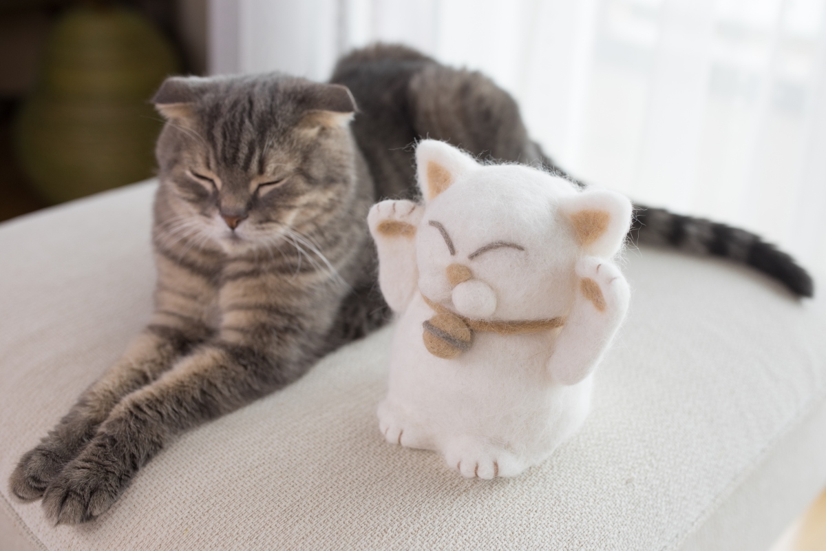 貓毛氈招財貓。（圖片提供：rojiman & umatan）