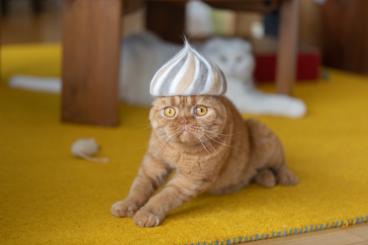 扭扭糖帽。（圖片提供：rojiman & umatan）