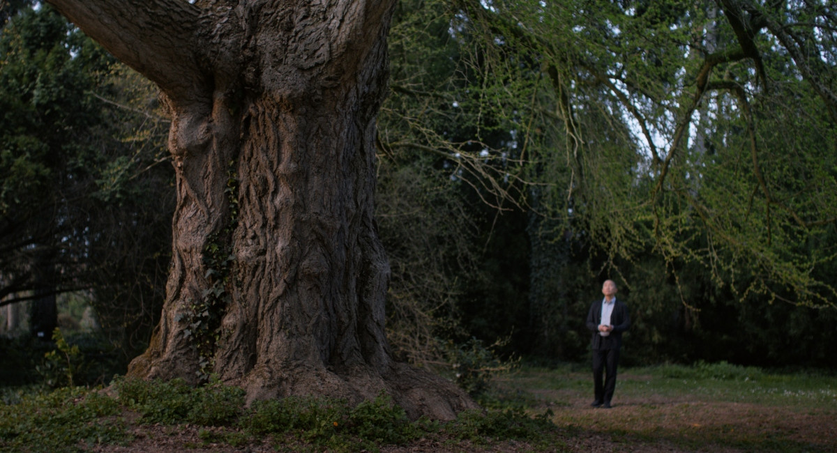 梁朝偉主演電影《你是不會當樹嗎》，聚焦人類與大自然的深層連結。（圖片提供：海鵬影業）