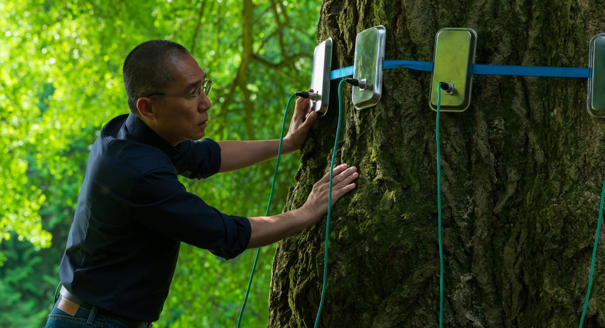 （圖片提供：海鵬影業）