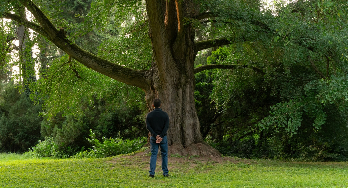 （圖片提供：海鵬影業）