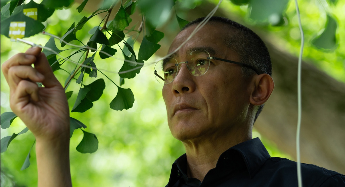 2020年為數位設備拍攝。（圖片提供：海鵬影業）