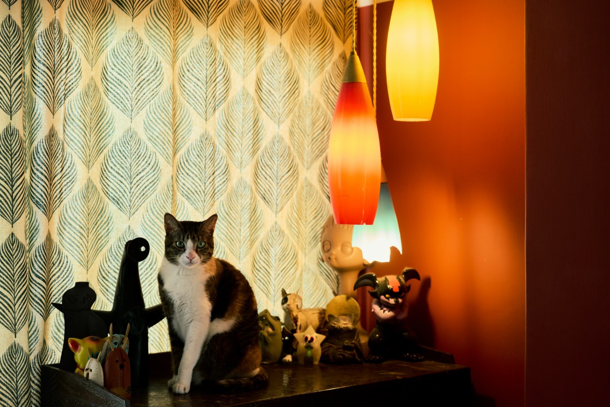 （攝影：Rafael Wu）