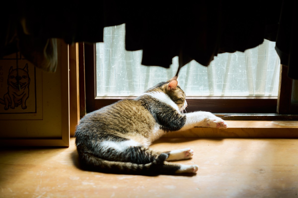 （攝影：Rafael Wu）