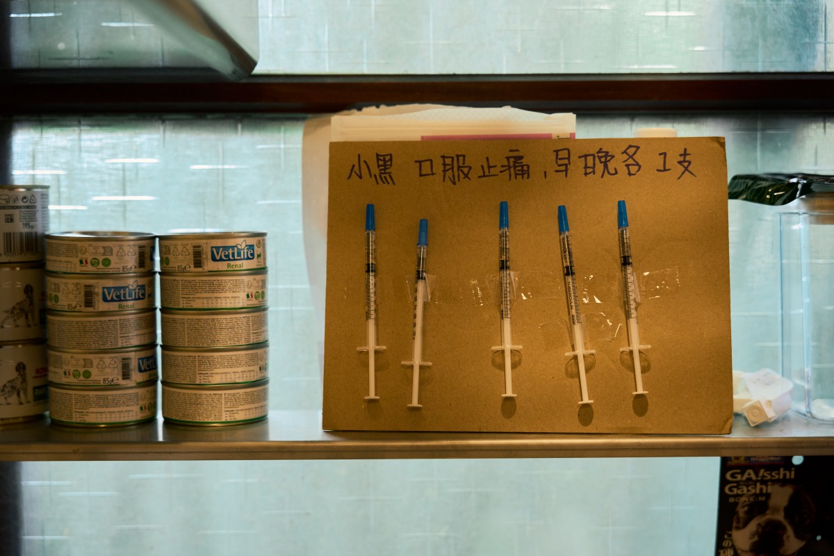 （攝影：Rafael Wu）