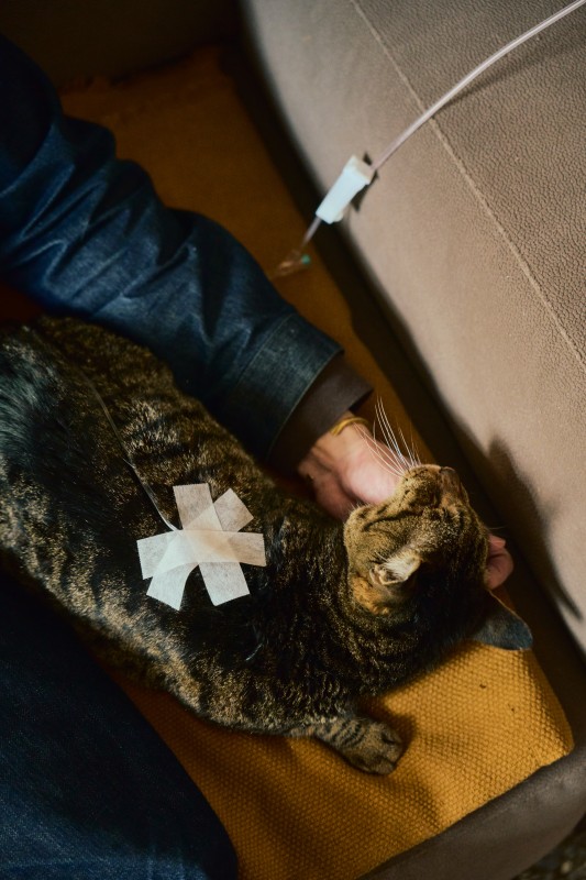 （攝影：Rafael Wu）