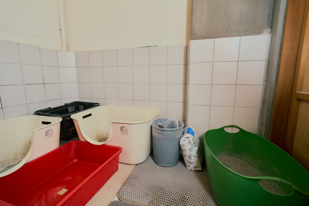 （攝影：Rafael Wu）