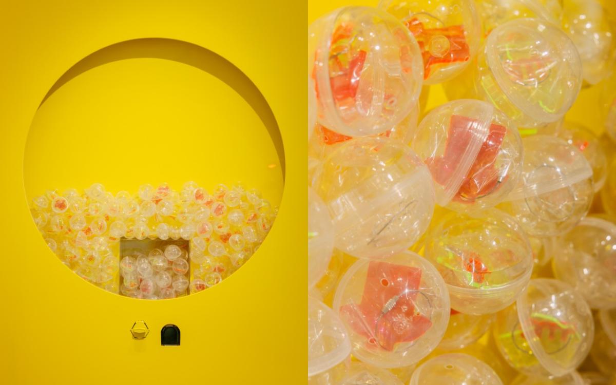 （圖片提供：Taiwan Given）