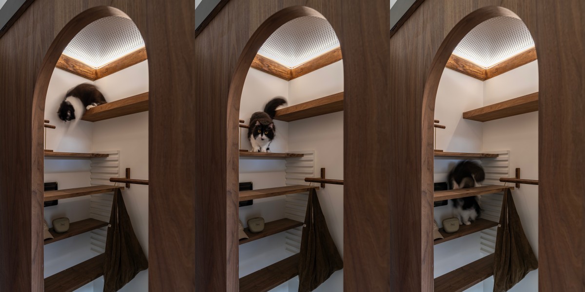 （圖片提供：閏年設計Leap Year Design）