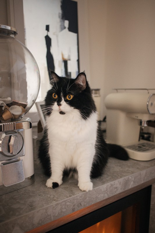 （圖片提供：閏年設計Leap Year Design）