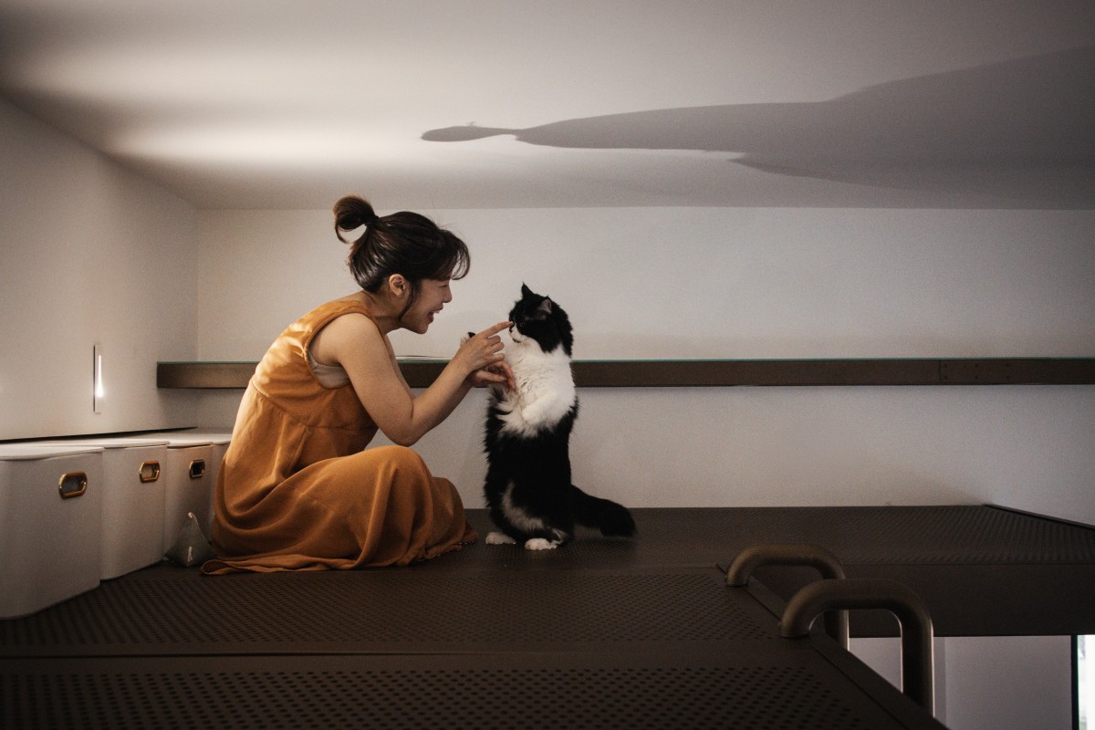 （圖片提供：閏年設計Leap Year Design）