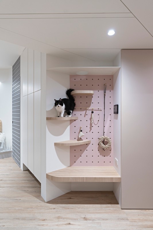 （圖片提供：閏年設計Leap Year Design）