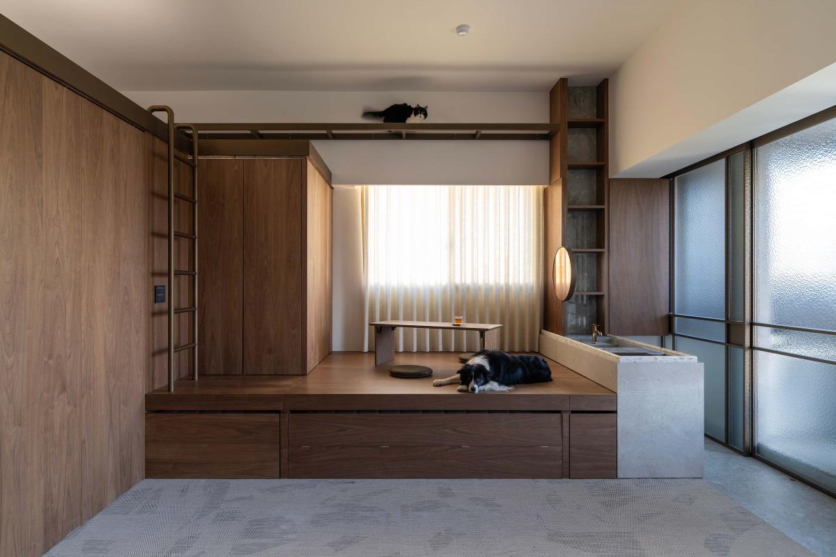 Lea家以「貓咪在立面，狗狗在平面」的領域概念劃分。（圖片提供：閏年設計Leap Year Design）