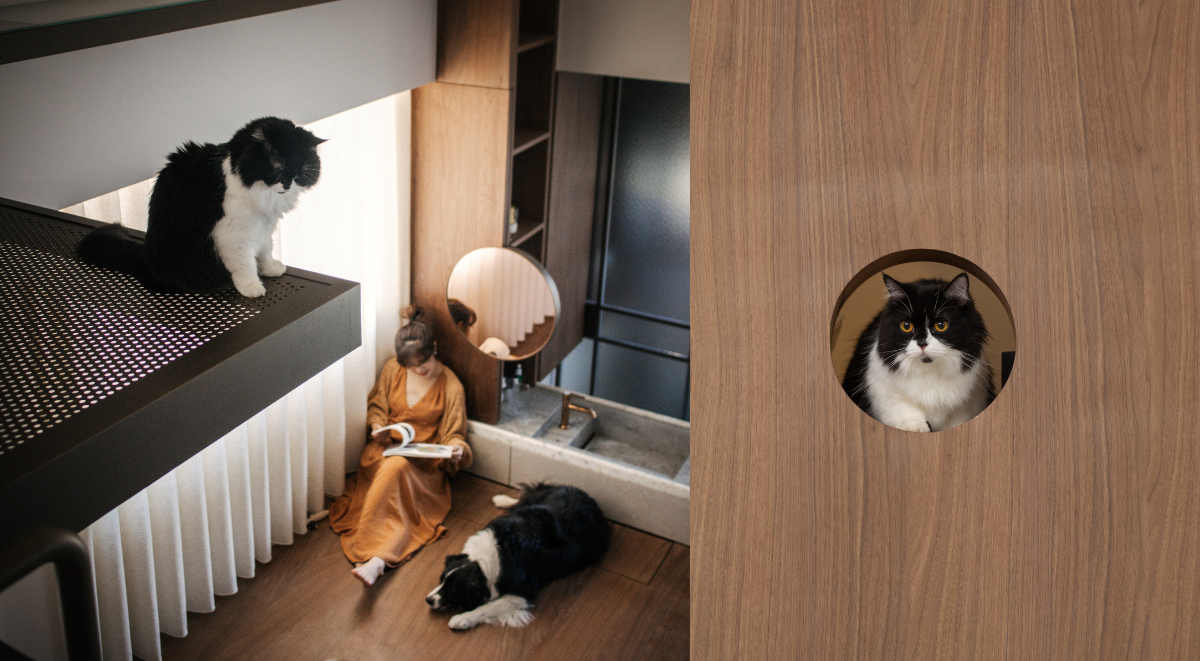 寵物友善室內設計師自宅開箱！專訪閏年設計Leap Year Design設計師Lea：最緊密的愛是不忘留後路