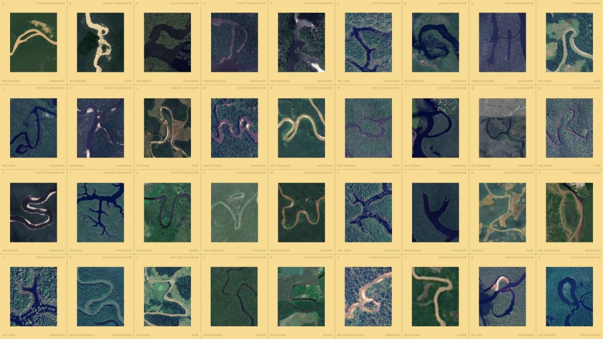 （圖片來源：Amazonia）