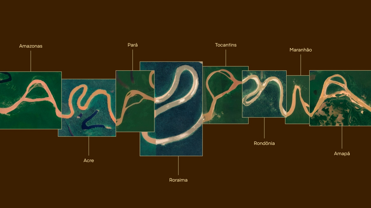 （圖片來源：Amazonia）