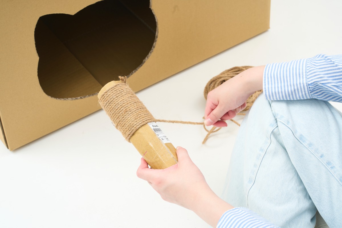 （攝影：黃少柔）