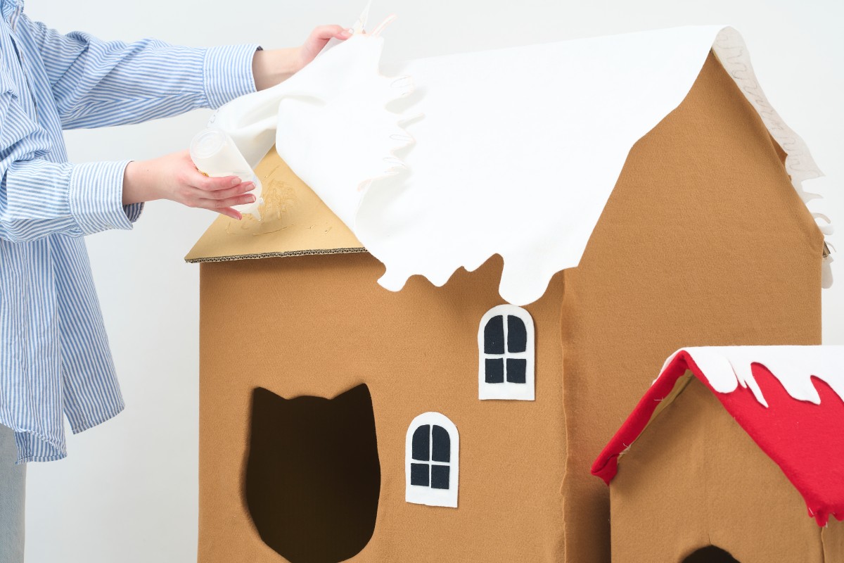 （攝影：黃少柔）