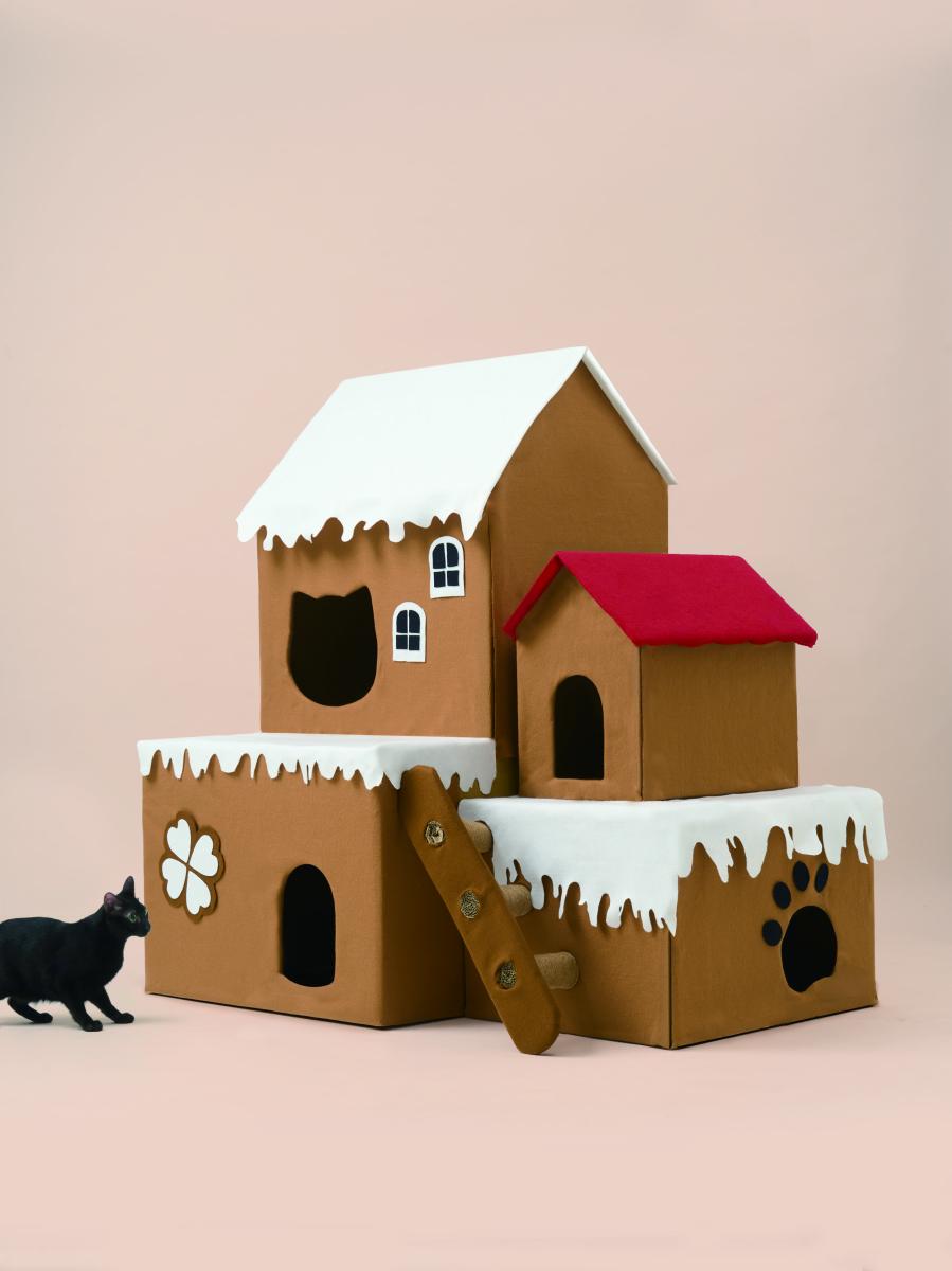 （攝影：黃少柔）