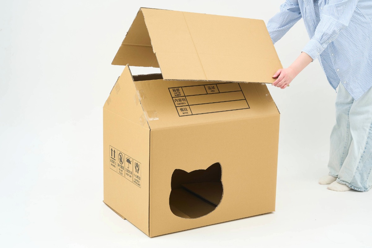 （攝影：黃少柔）