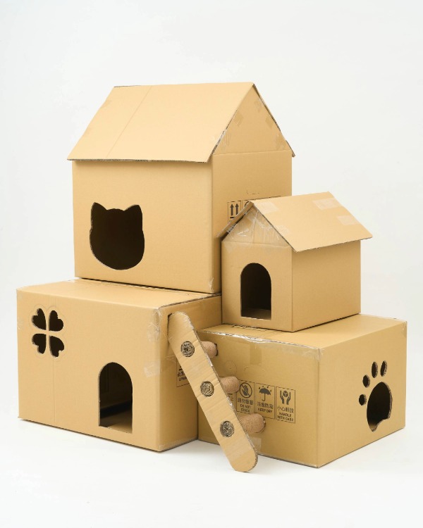 （攝影：黃少柔）