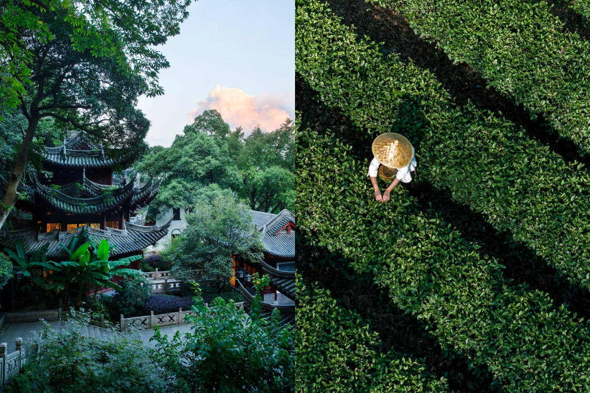 法雲安縵藏身以龍井茶聞名的靈隱山麓，部分客房套裝且含靈隱寺和永福寺（左）導遊。（圖片提供：Aman）